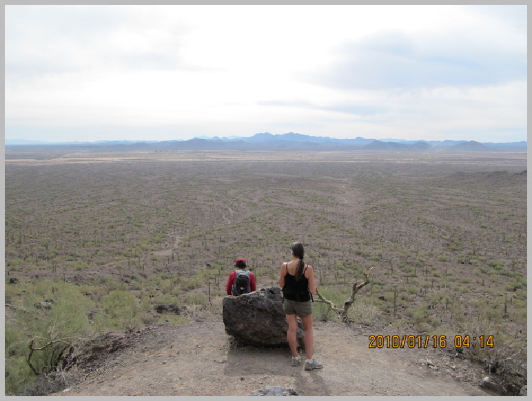 picachopeak 14