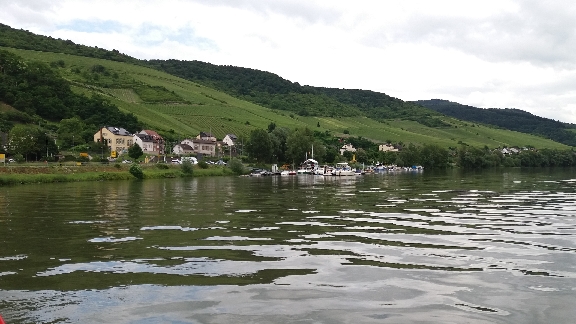 rhein 10